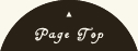 pagetop